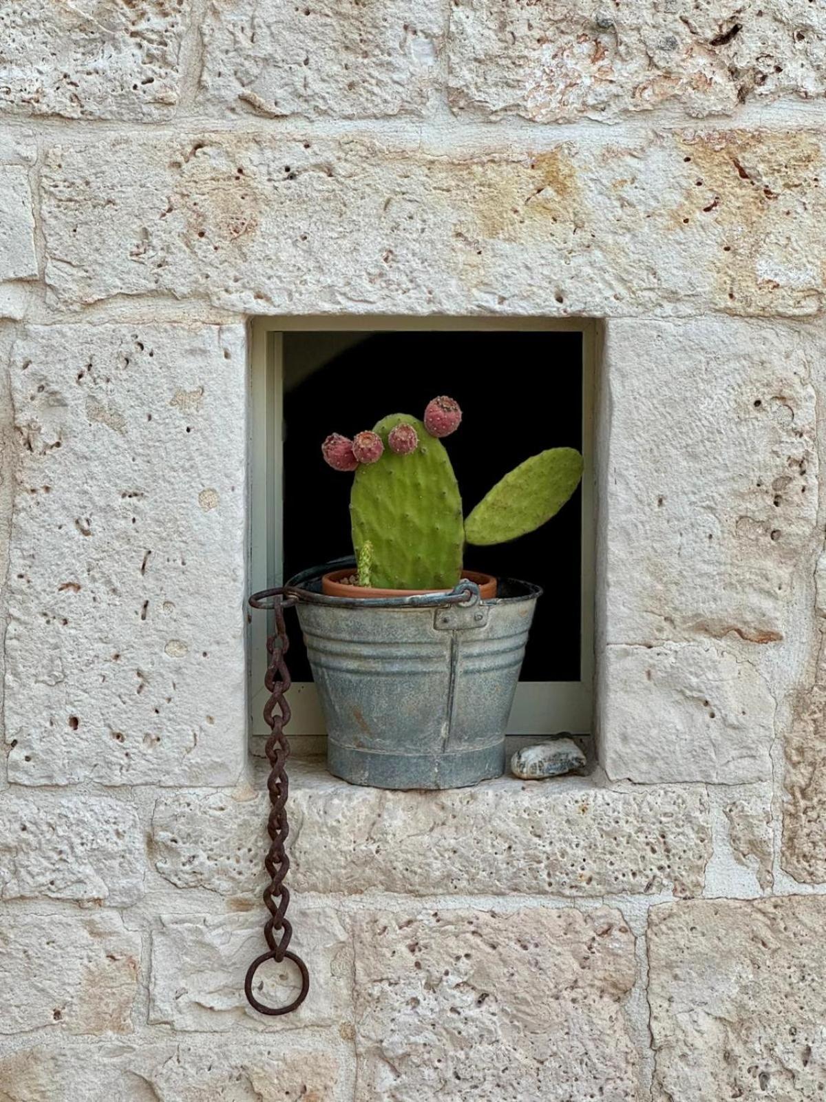 לינה וארוחת בוקר לוקורוטונדו Pietra Pesara מראה חיצוני תמונה